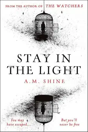 A M Shine Stay in the Light Paperback Book Cover