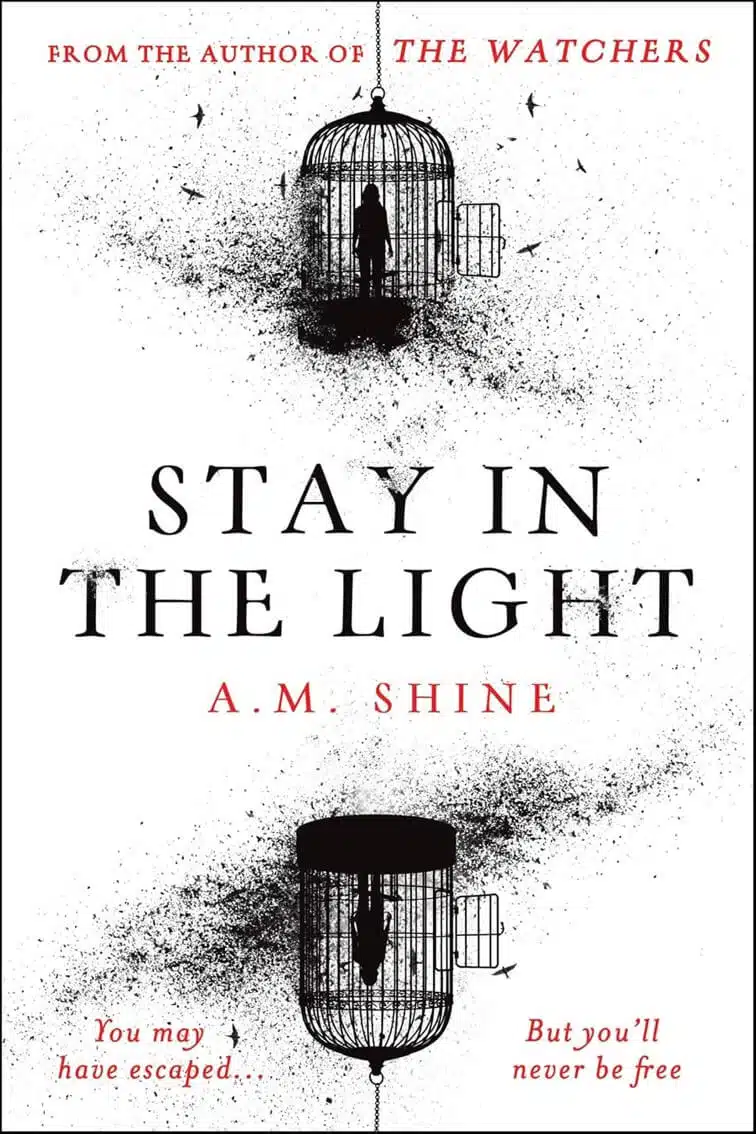 A M Shine Stay in the Light Paperback Book Cover