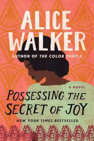 Alice Walker Possessing the Secret of Joy Kindle Book Cover